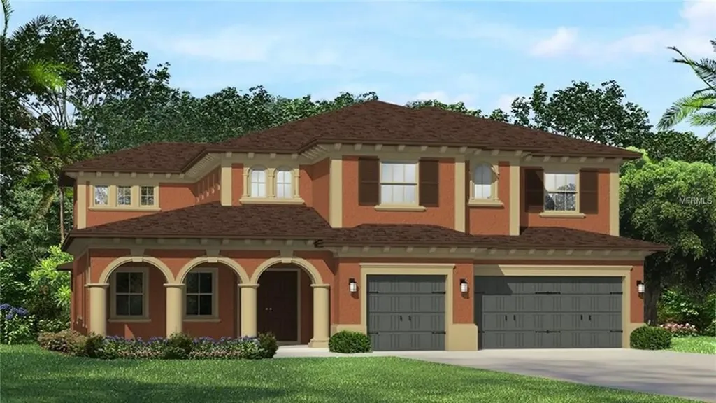 28909 Picana Lane Wesley Chapel FL 33543
