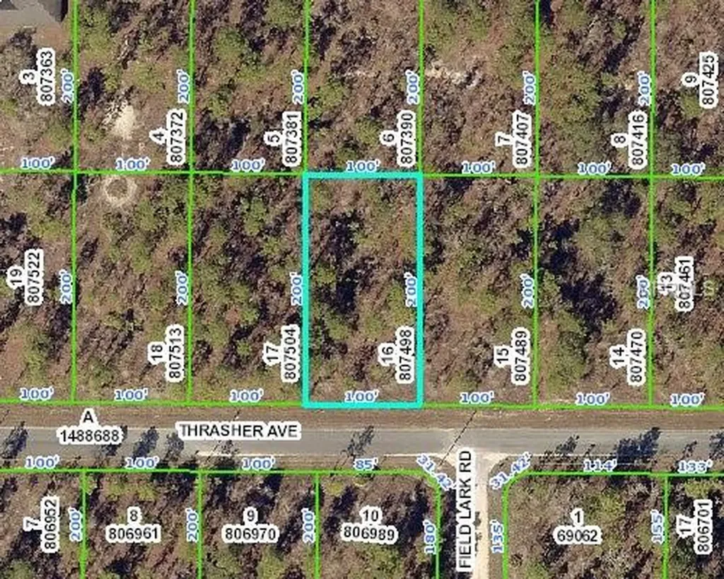 13075 Thrasher Avenue Weeki Wachee FL 34614