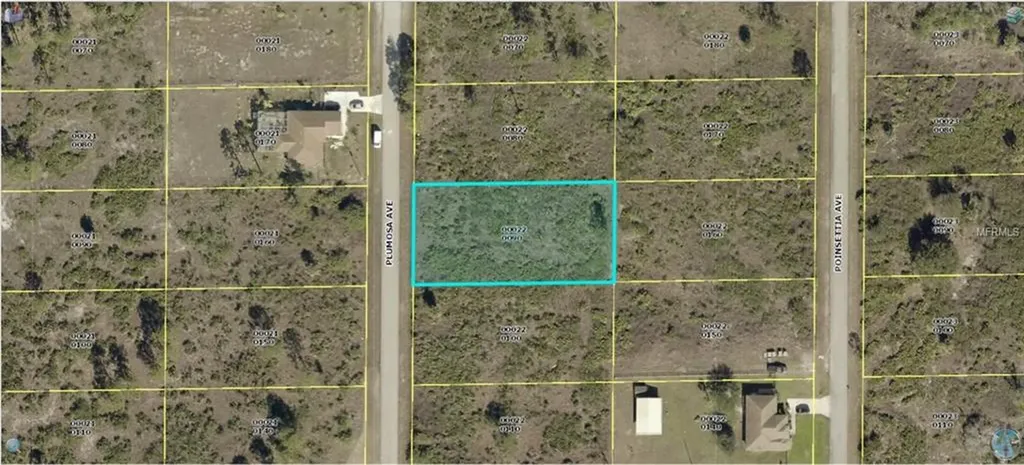 1306 Plumosa Avenue Lehigh Acres FL 33972