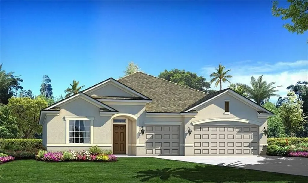 11970 Cinnamon Fern Drive Riverview FL 33579