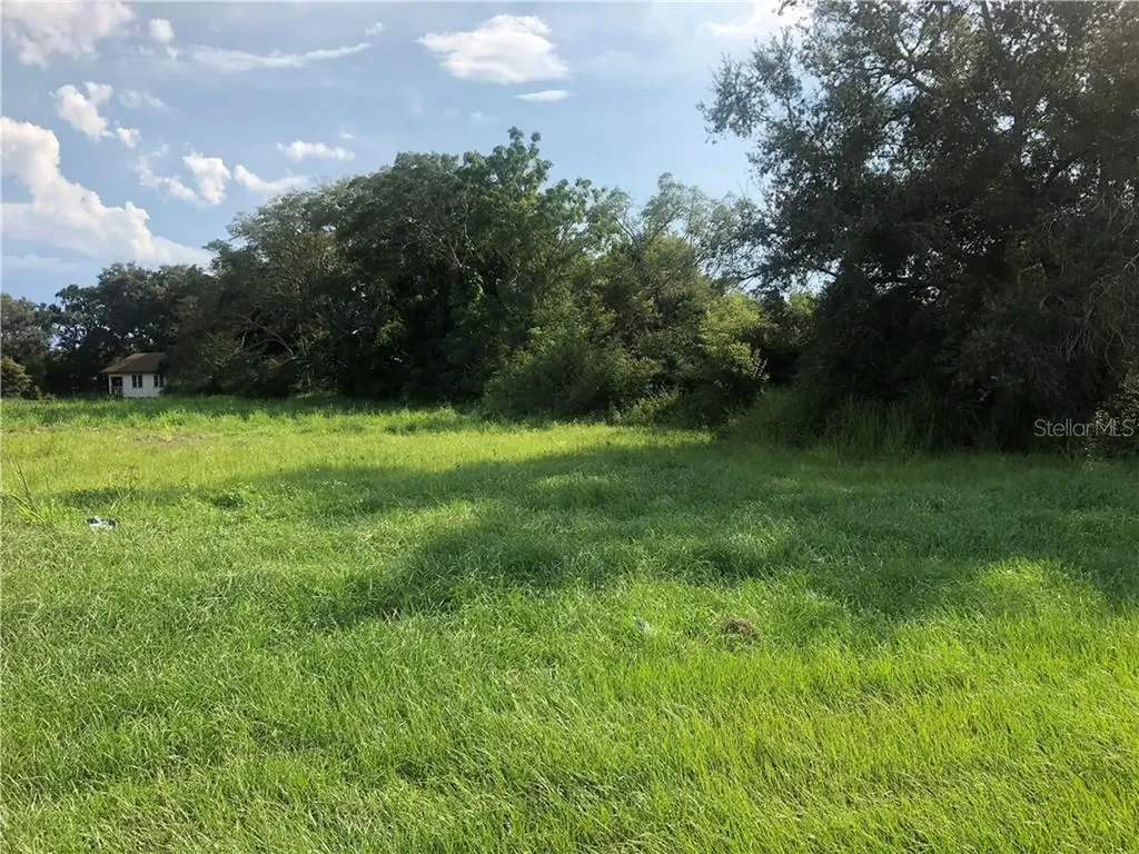 442 Magnolia Street Winter Garden FL 34787