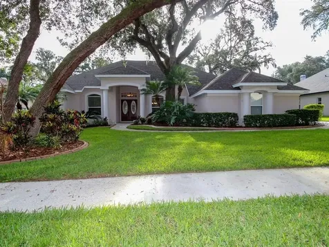 3414 Sylvan Shadow Street Valrico FL 33596