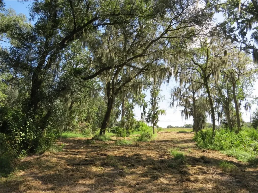 2505 Crestview Road Wimauma FL 33598