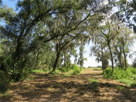 2505 Crestview Road Wimauma FL 33598