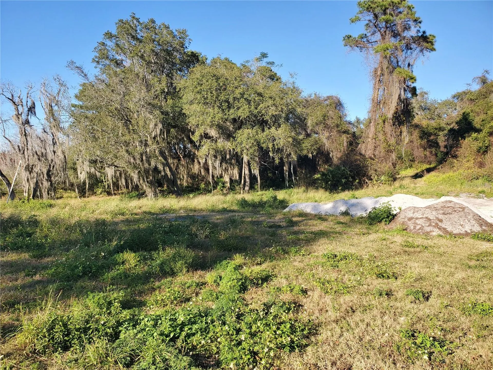 732 Waterfall Circle Deltona FL 32725