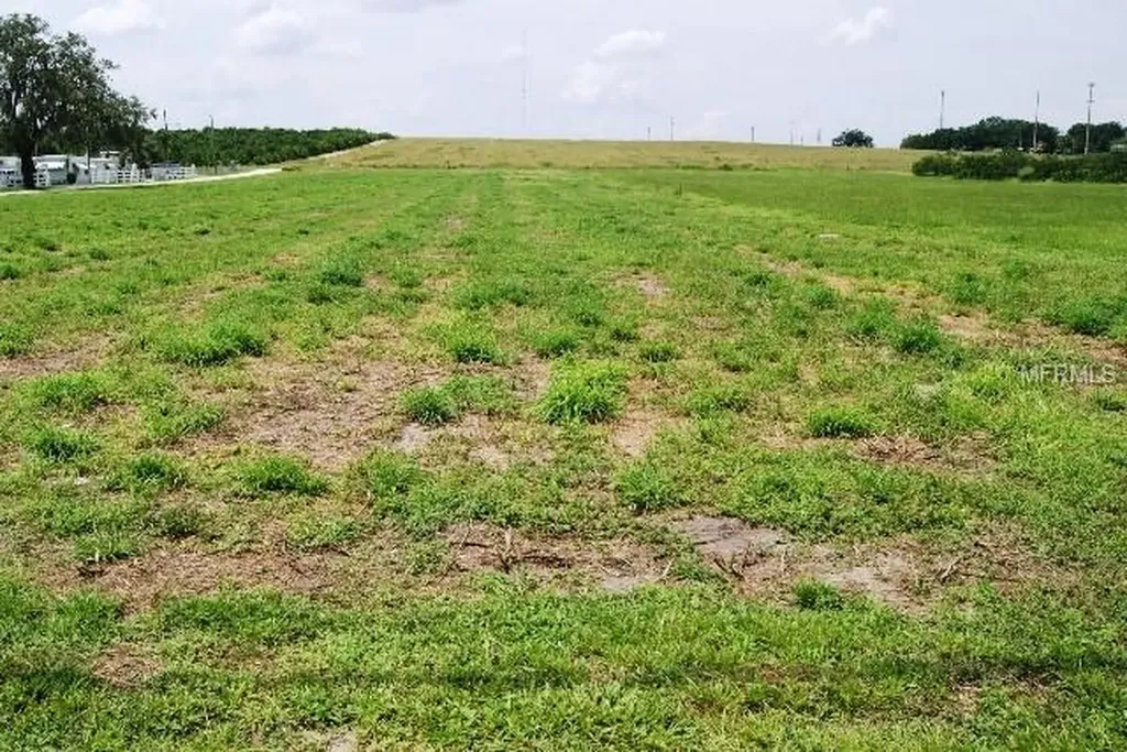 828 Ulmer Road Frostproof FL 33843