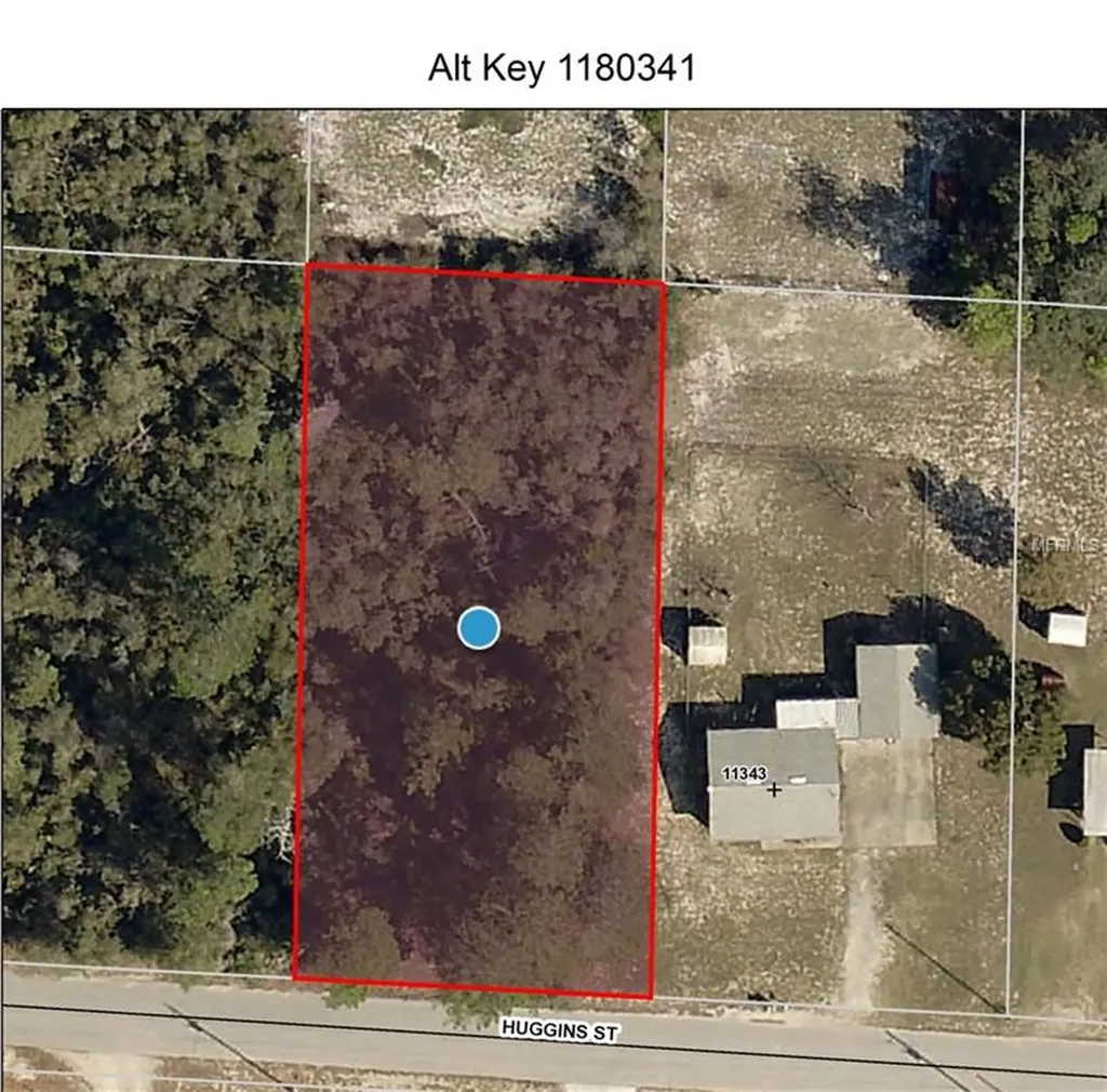11333 Huggins Street Leesburg FL 34788