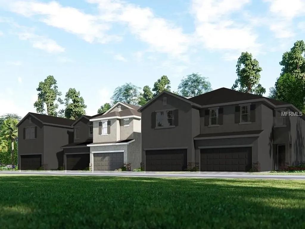 1110 Rose Blossom Court Tampa FL 33613