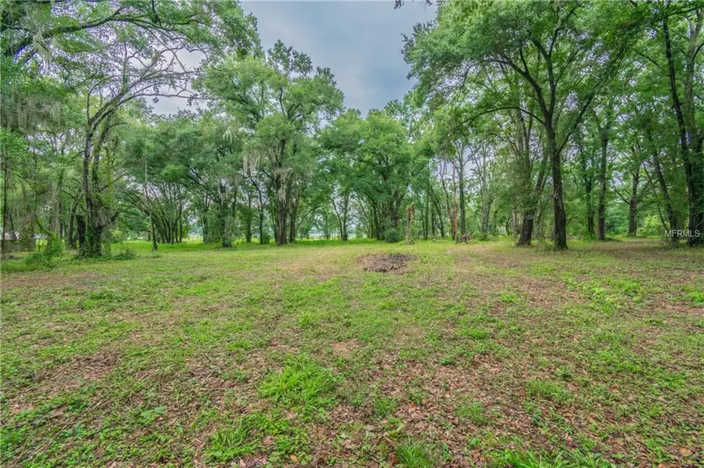13318 Sullivan Manor Court Dover FL 33527