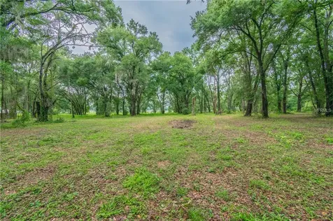 13318 Sullivan Manor Court Dover FL 33527