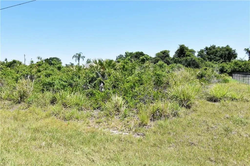 304 Pessoa Street Punta Gorda FL 33983