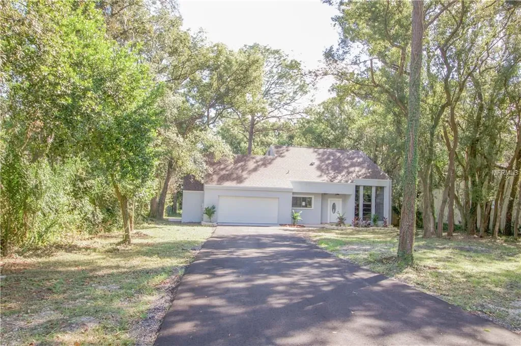 12307 N 52nd Street Temple Terrace FL 33617