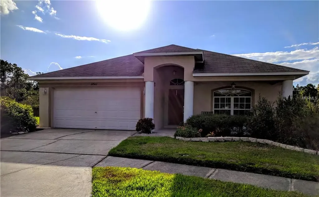 12502 Deerberry Lane Tampa FL 33626