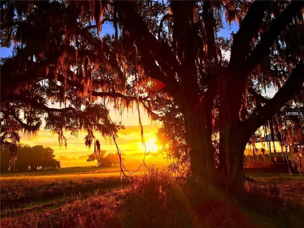 24480 Mondon Hill Road Brooksville FL 34601