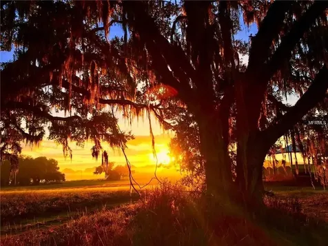 24480 Mondon Hill Road Brooksville FL 34601