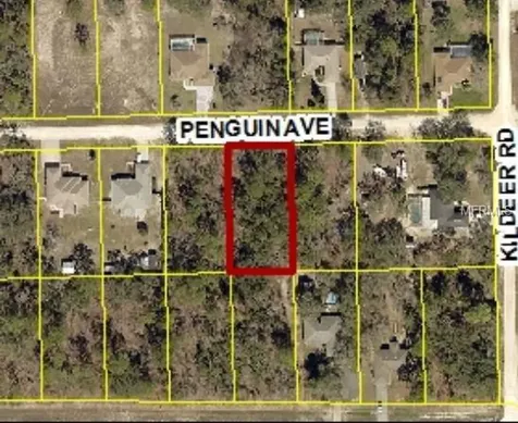 12066 Penguin Avenue Weeki Wachee FL 34614