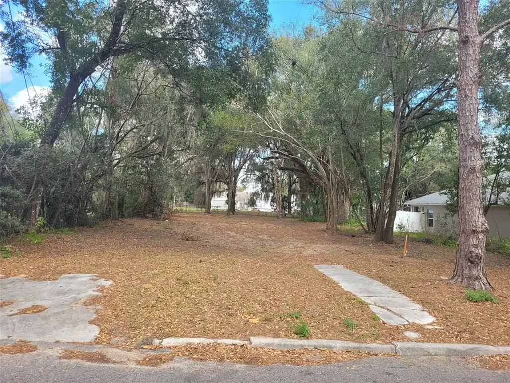 37409 Howard Avenue Dade City FL 33525