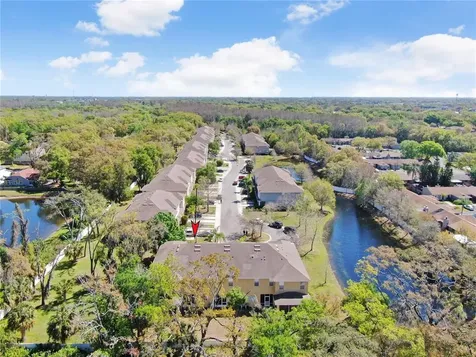 4553 Amberly Oaks Court Tampa FL 33614