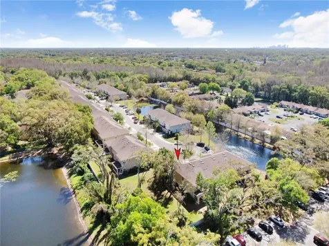 4553 Amberly Oaks Court Tampa FL 33614