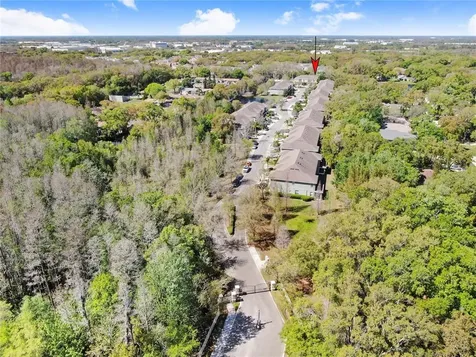 4553 Amberly Oaks Court Tampa FL 33614