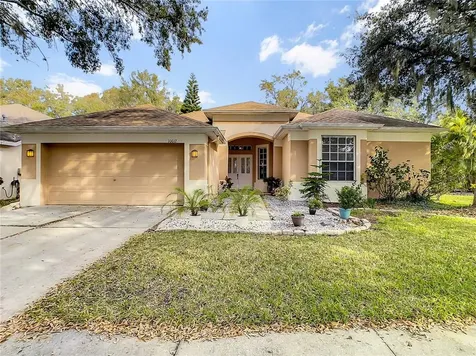 10012 Cannon Drive Riverview FL 33578