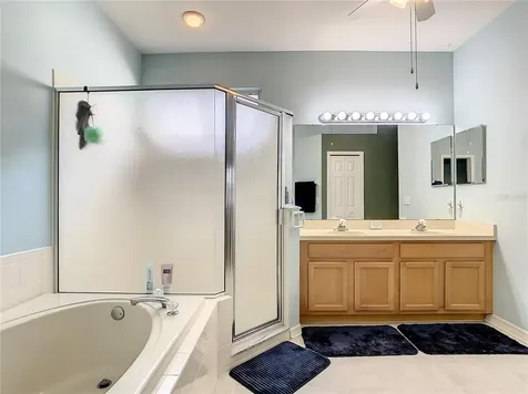 10012 Cannon Drive Riverview FL 33578