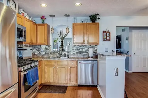24349 Mistwood Court Lutz FL 33559