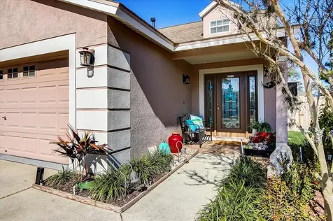 24349 Mistwood Court Lutz FL 33559