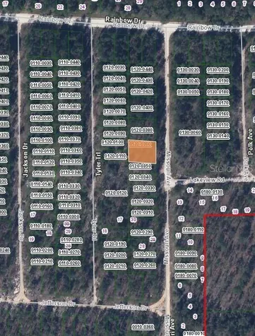 199 Missouri Avenue Hawthorne FL 32640