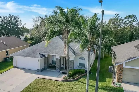 28506 Tall Grass Drive Wesley Chapel FL 33543