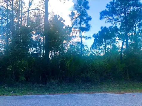 5 Serenade Place Palm Coast FL 32164