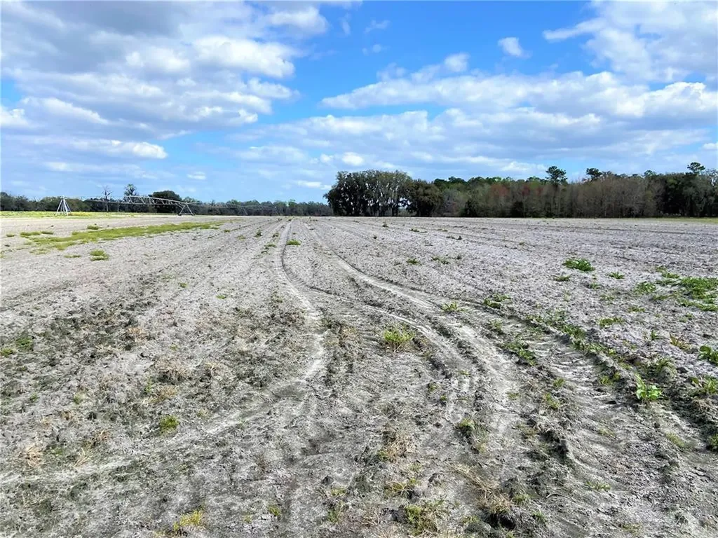 24103 NW County Road 239 Alachua FL 32615