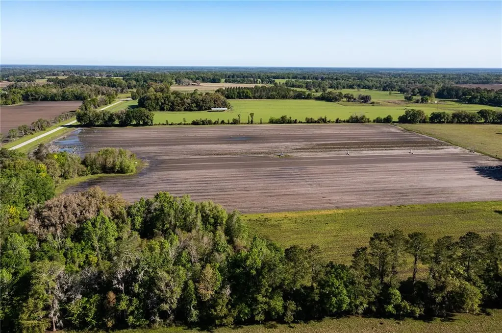 24103 NW County Road 239 Alachua FL 32615