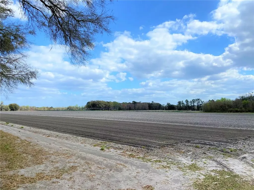 24103 NW County Road 239 Alachua FL 32615
