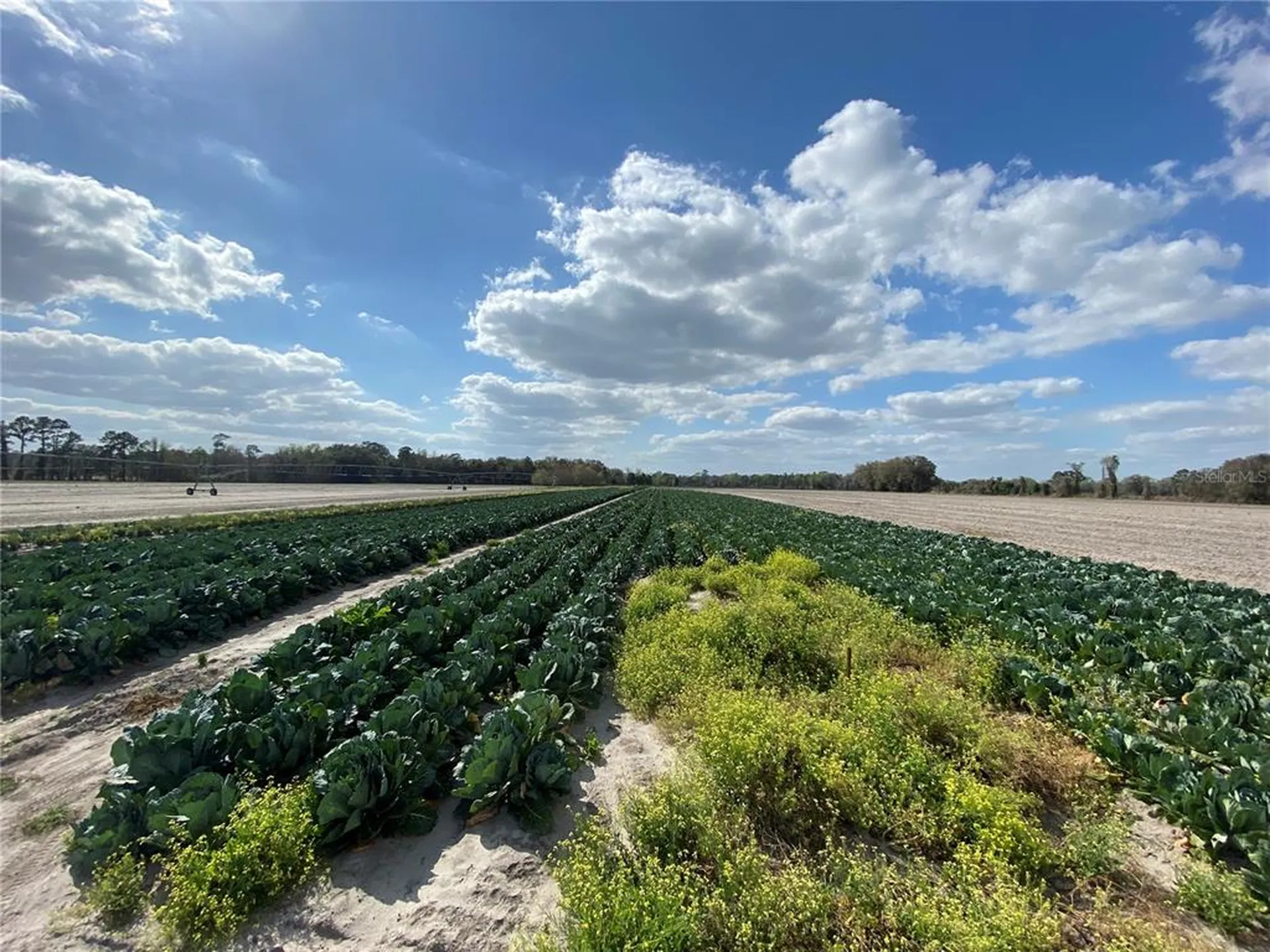 24103 NW County Road 239 Alachua FL 32615
