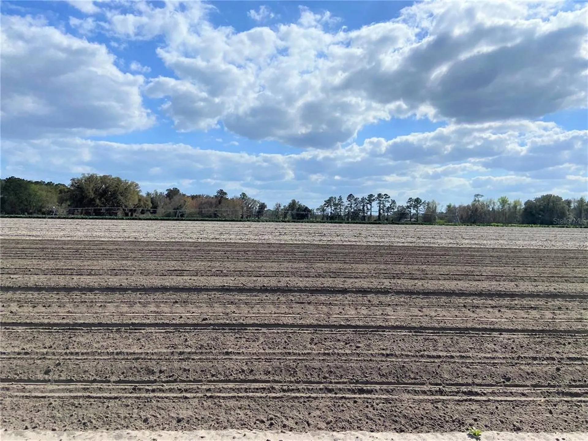 24103 NW County Road 239 Alachua FL 32615