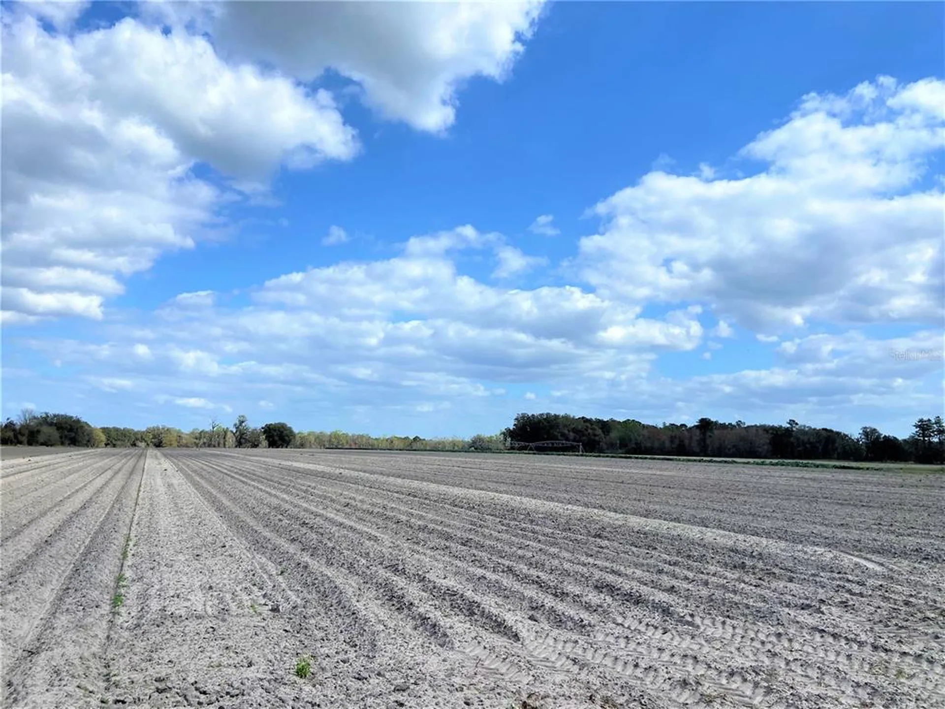 24103 NW County Road 239 Alachua FL 32615