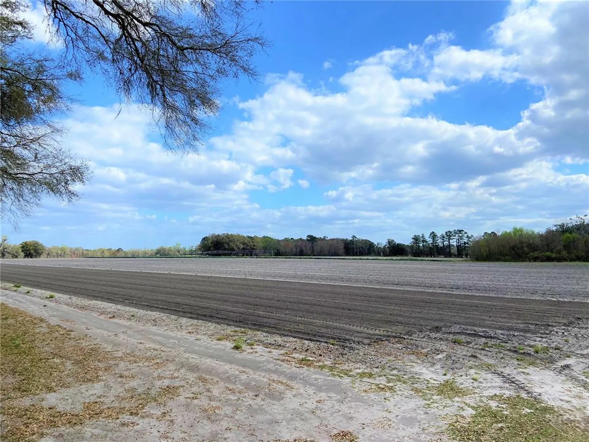 24103 NW County Road 239 Alachua FL 32615