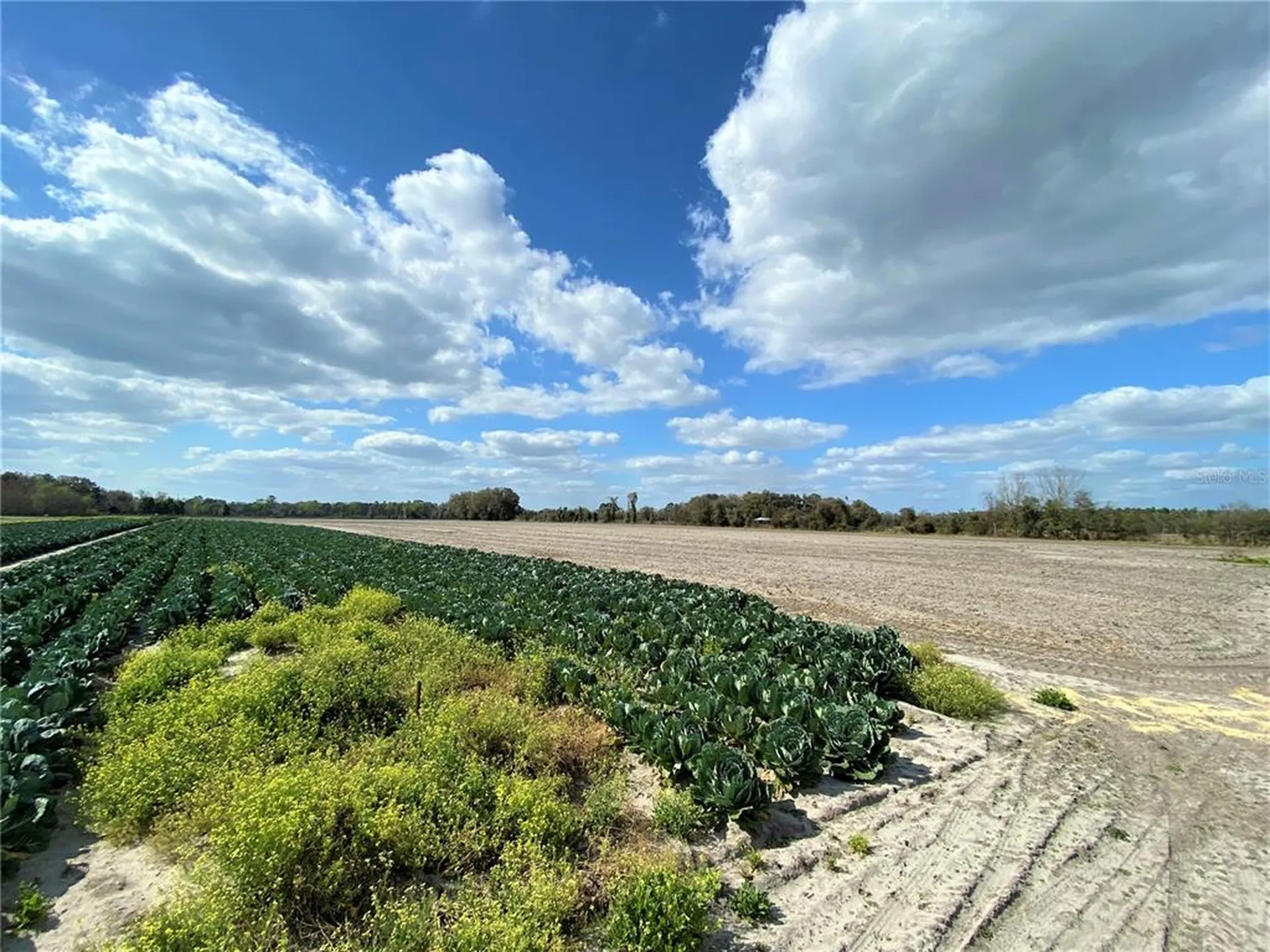 24103 NW County Road 239 Alachua FL 32615