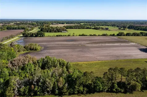 24103 NW County Road 239 Alachua FL 32615