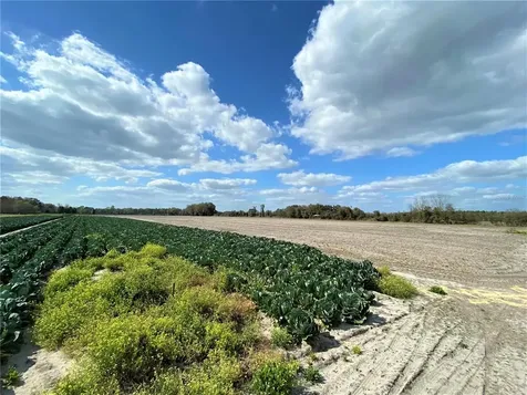 24103 NW County Road 239 Alachua FL 32615