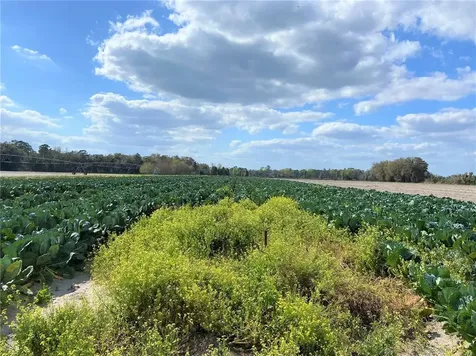 24103 NW County Road 239 Alachua FL 32615