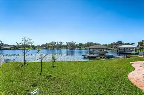 3942 Lake Joyce Drive Land O Lakes FL 34639