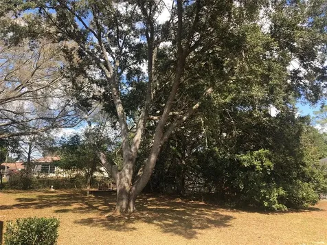 21473 SW Peach Blossom Street Dunnellon FL 34431