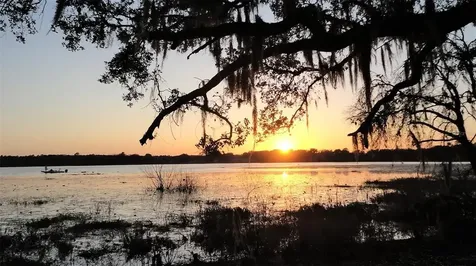 3844 SW Shorewood Drive Dunnellon FL 34431