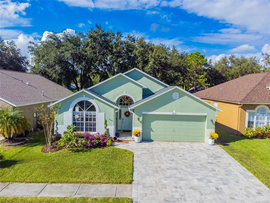 12541 Blazing Star Drive Tampa FL 33626