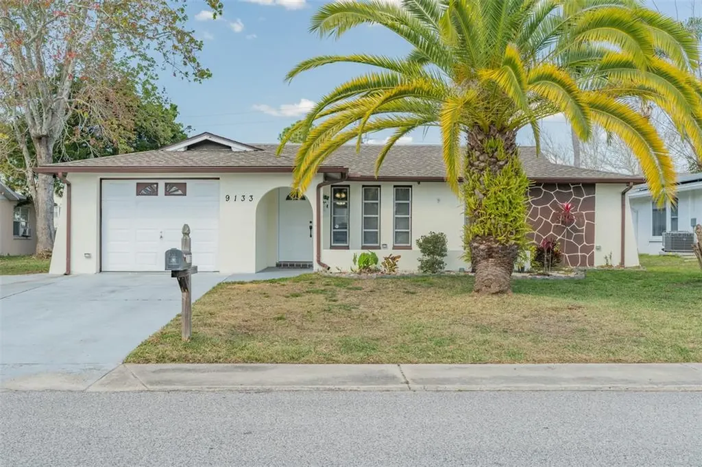 9133 Saint Clair Lane Port Richey FL 34668