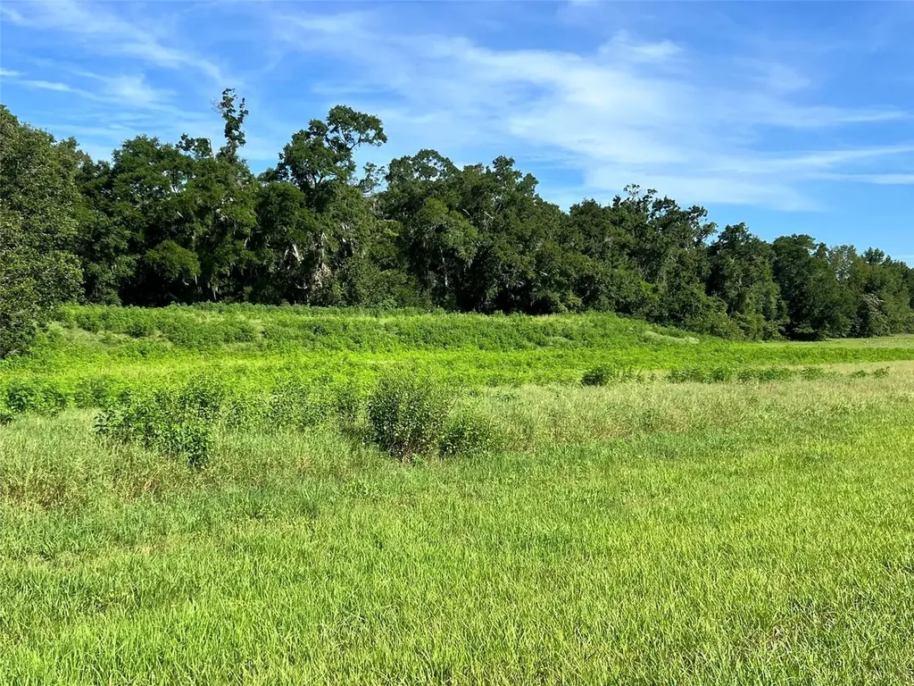 0 SE 8th Avenue Ocala FL 34480