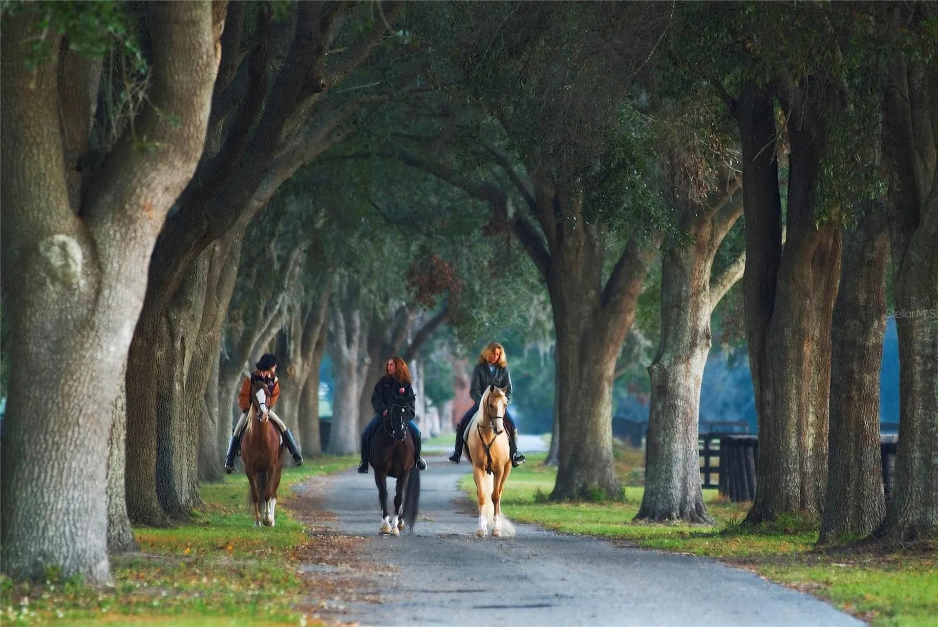 0 SE 8th Avenue Ocala FL 34480