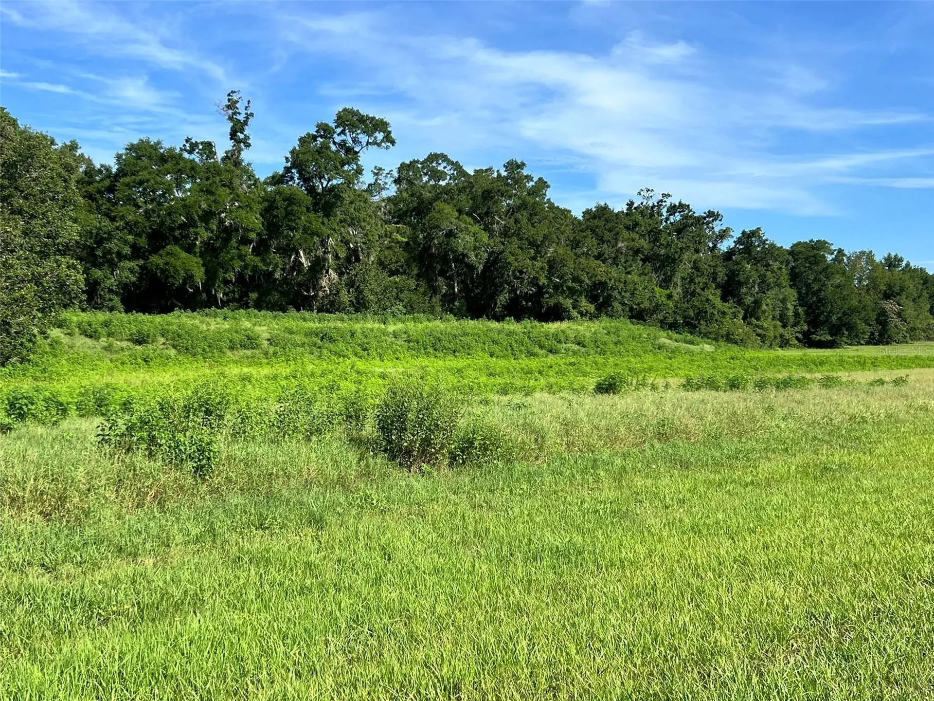 0 SE 8th Avenue Ocala FL 34480